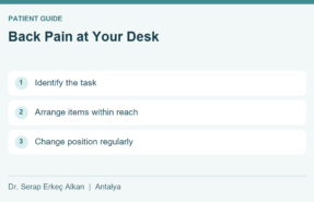 Back Pain at Your Desk: Identify the task, Arrange items within reach, Change position regularly